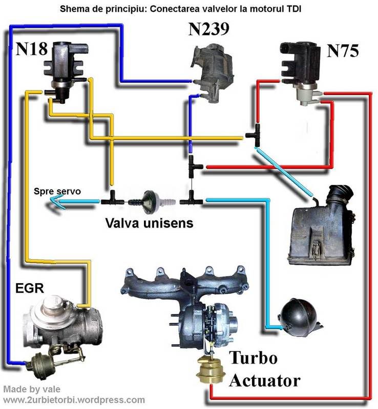 TDI Turbo and EGR Vacuum System diagram - MkIV (Mk4) Golf & Bora - uk-mkivs